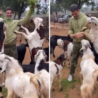 Akshay Kumar struggles to feed goats in new video, watch